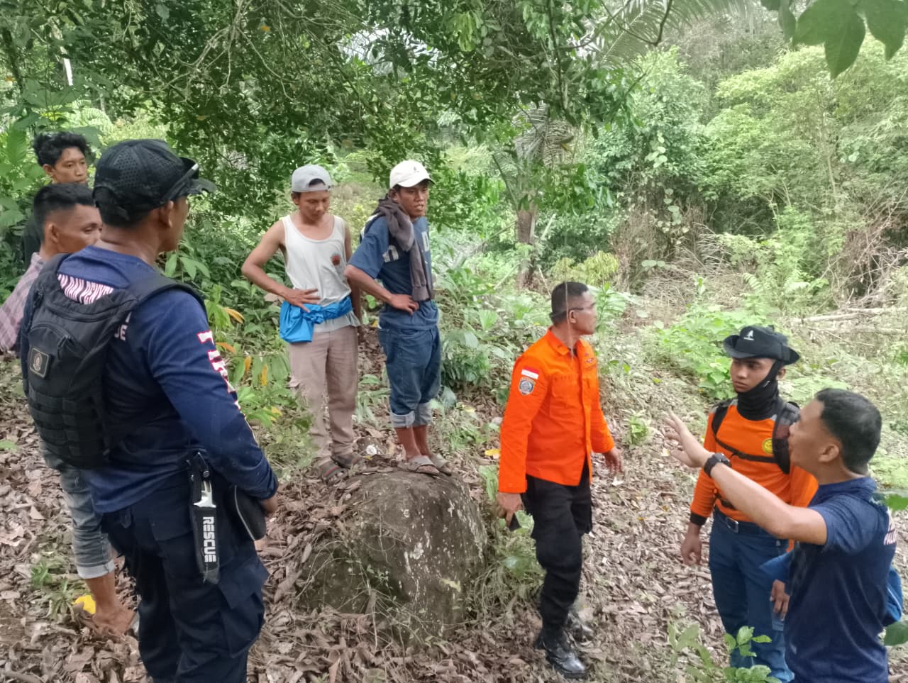 Warga Luwu Hilang di Pegunungan Walenrang Saat Hendak ke Kebun, Basarnas Kerahkan Tim Pencari