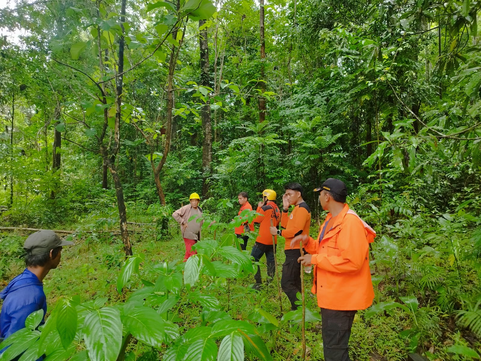 Kakek di Gowa Hilang di Hutan, Basarnas Kerahkan Drone Thermal