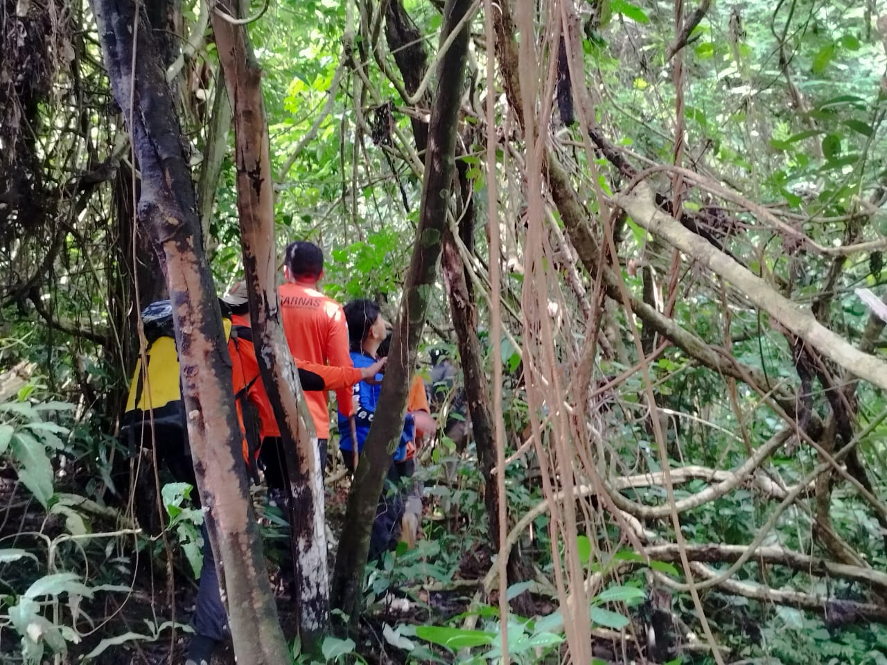 5 Hari Kakek yang Hilang di Hutan Gowa Belum Juga Ditemukan, Area Pencarian Diperluas