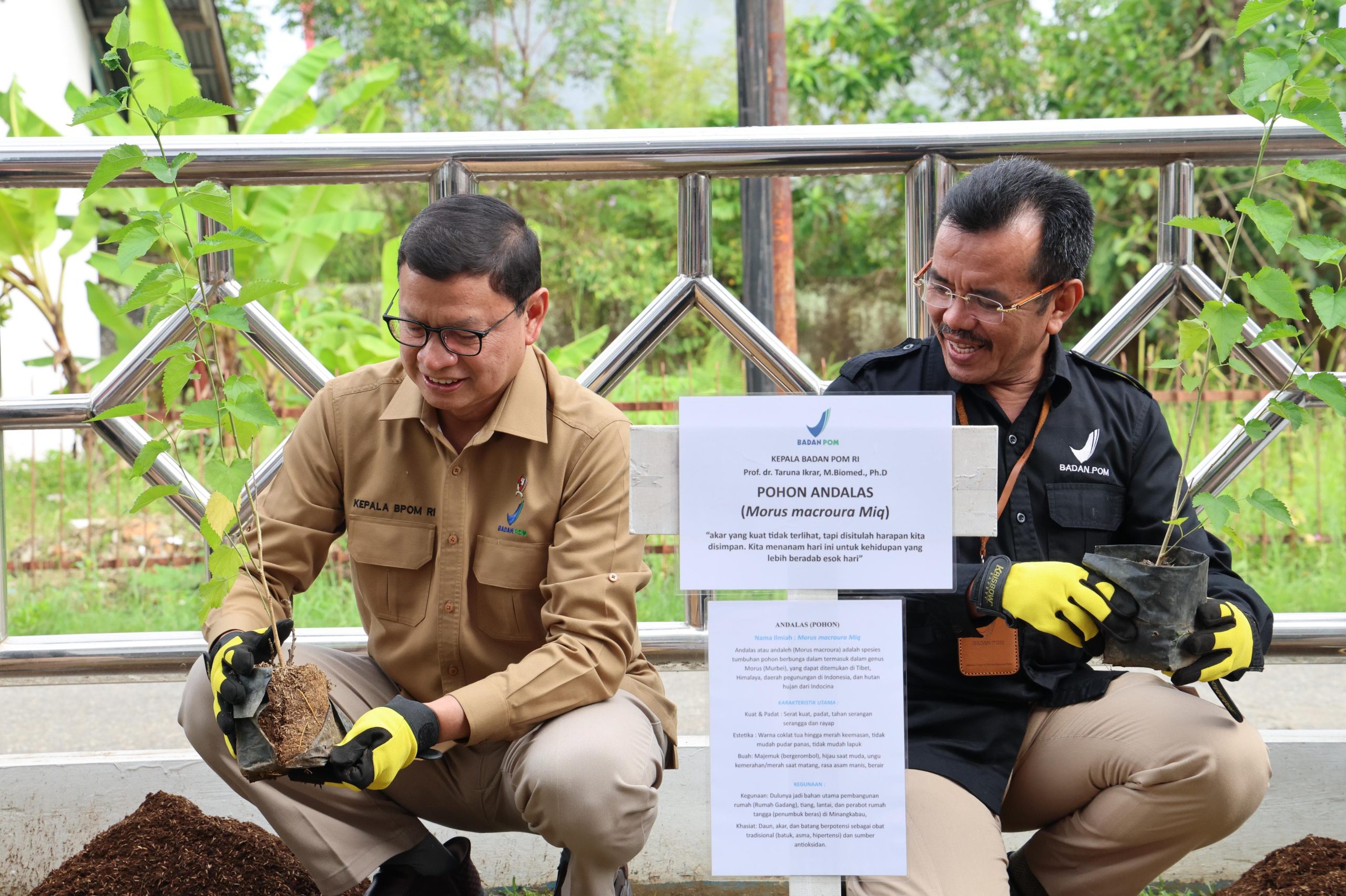 Taruna Ikrar Bersama Masyarakat Padang di Masa Sulit, Menjaga Obat dan Merawat Alam