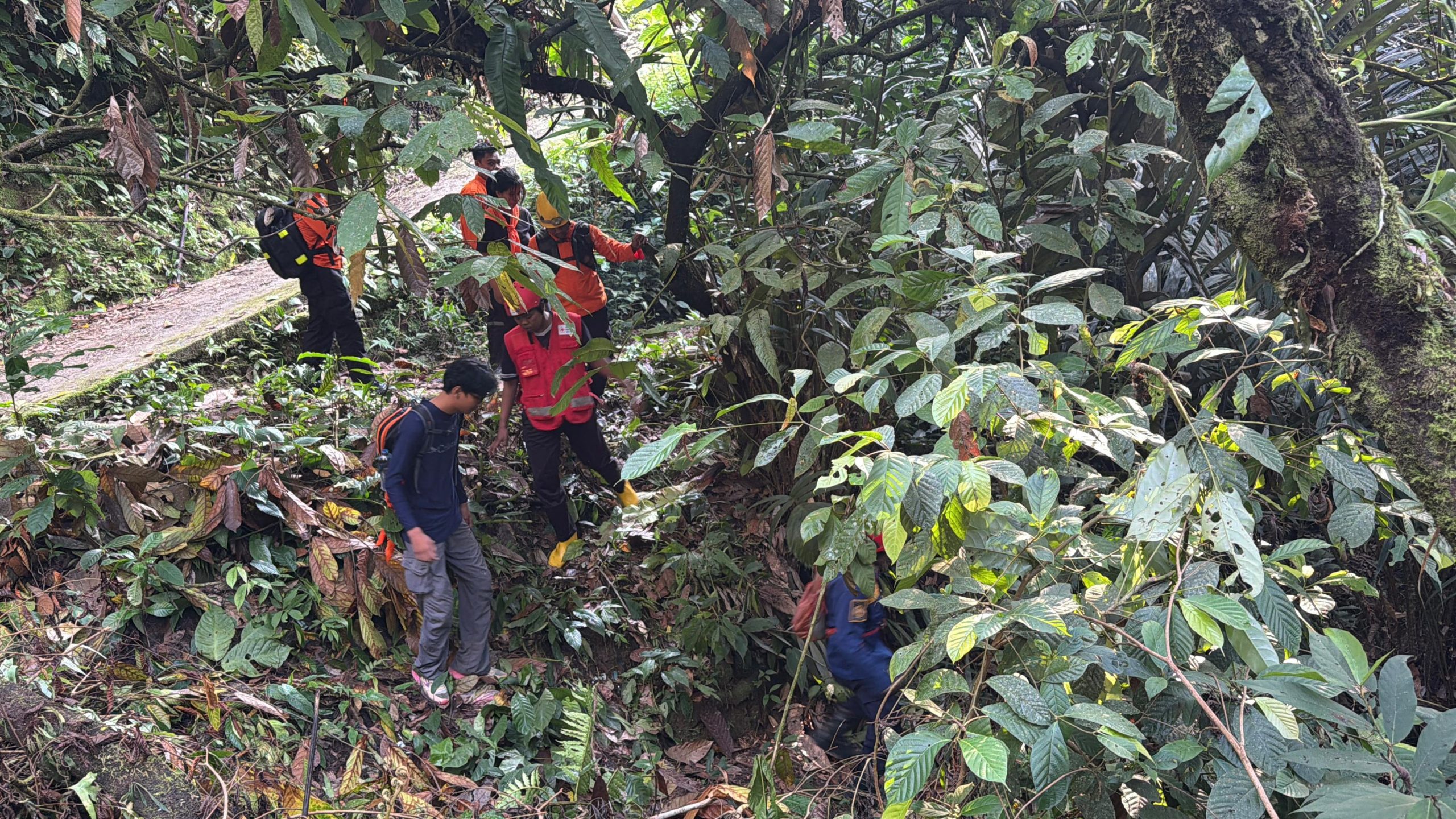 Wanita Paruh Baya Hilang Misterius, Tim SAR Gabungan Sisir Hutan Battang Barat Palopo