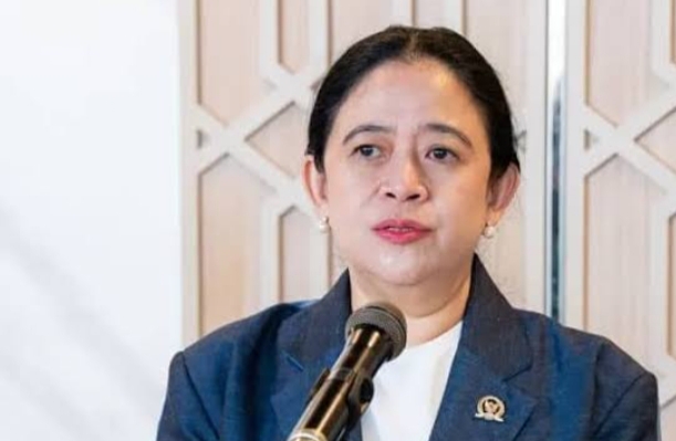 Ini Penjelasan Ketua DPR Puan Maharani Usai Tak Hadiri Audiensi dengan Perwakilan Demonstran di Senayan