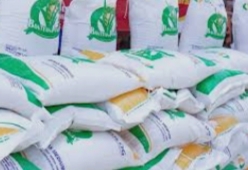 Bansos Beras 30 kg Cair Sekaligus di Akhir September 2026, Begini Penentuan Penerimanya