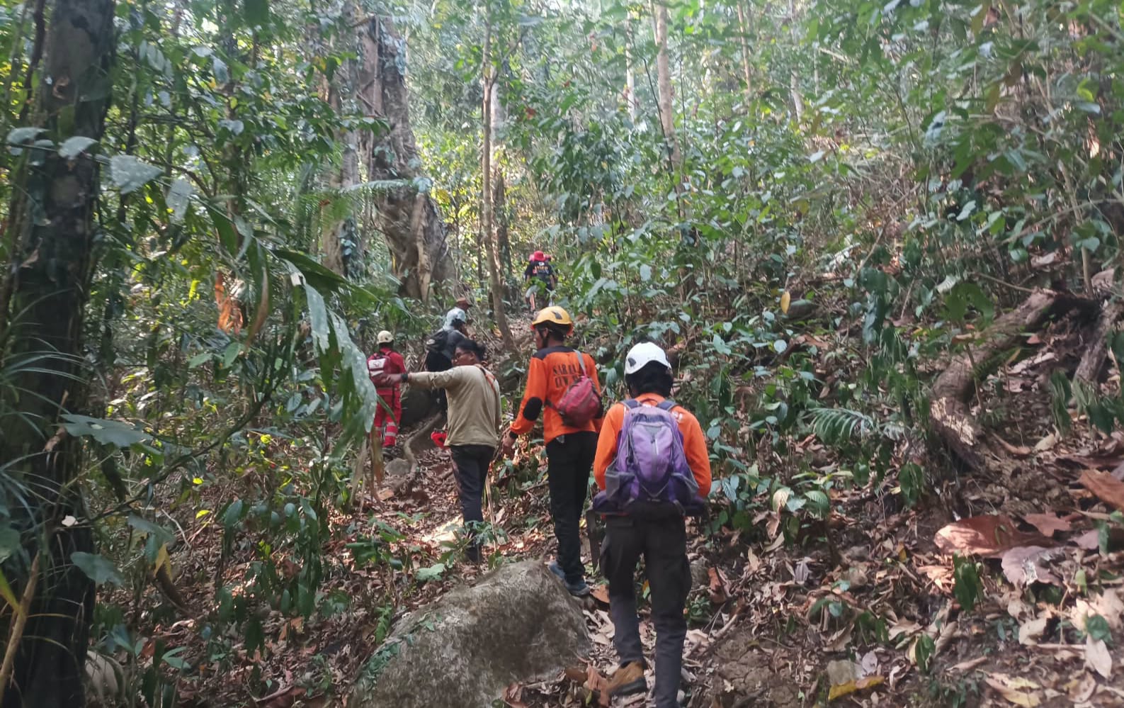 Pria di Lutim Tak Kunjung Kembali saat Cari Kayu di Hutan, Basarnas Terjunkan Tim Cari Korban